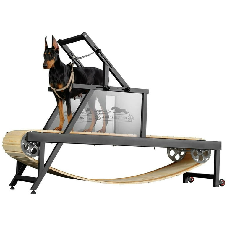Carpet Mill Best Dog Treadmill Pawpaws Treadmill Best Dog