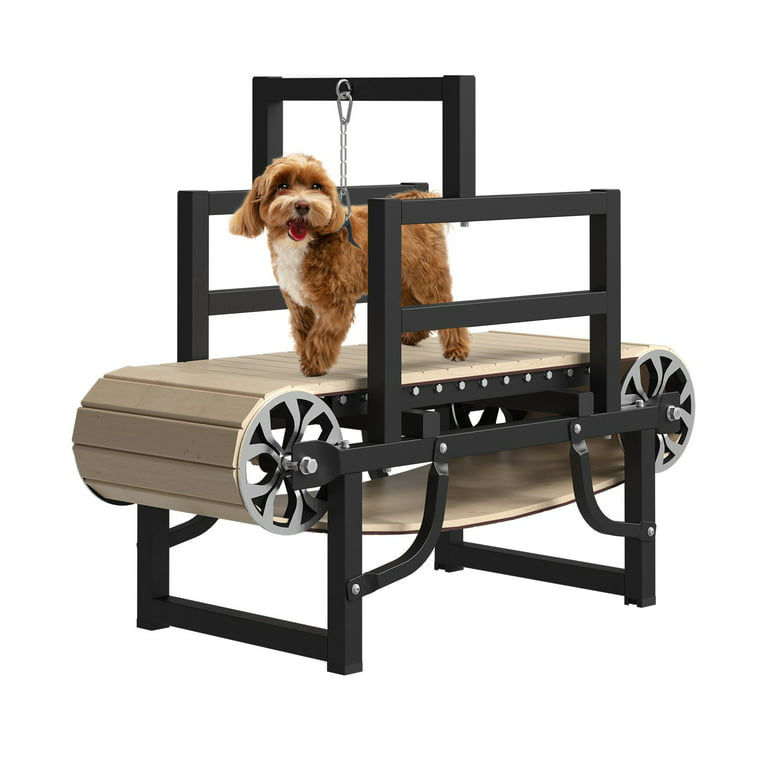 Syedee Dog Treadmill for Large Dogs, Dog Slatmill for Healthy