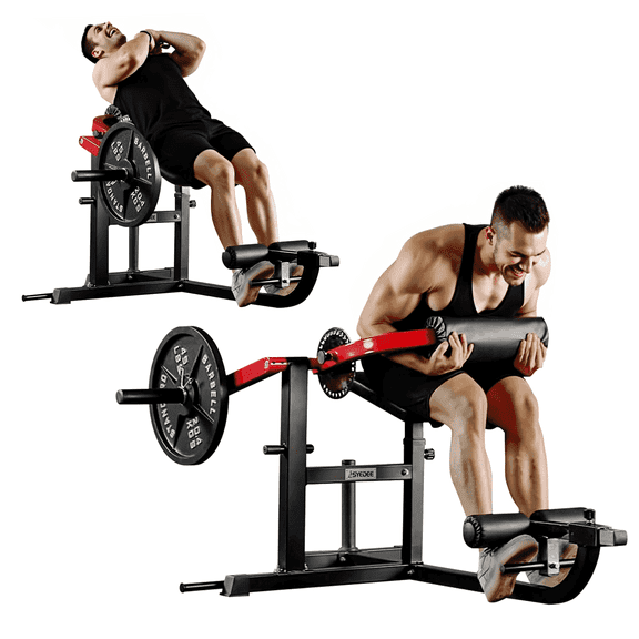 Syedee Seated AB Curl/ Back Extension Machine, Plate Loaded Machine with 450lbs Weight Capacity, Home Gym for Core and Back Training