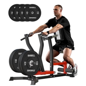 Syedee Seated Row Machine, Plate Loaded Lat and Back Workout Equipment with Adjustable Positions and Rotating Handles, 70LBS Weight Plate Set