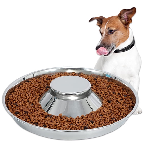 Syenll Stainless Steel Puppy Bowls, Dog Food and Water Bowl, Feeding Weaning Bowl for Small Medium Large Dogs (S, 10.23 inch)