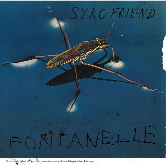 Syko Friend - Fontanelle - Rock - Vinyl