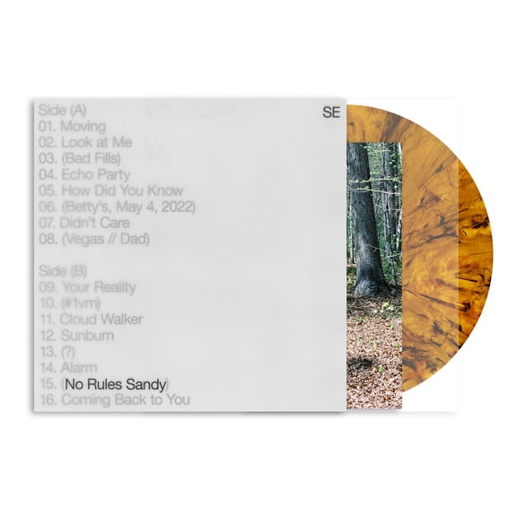 Sylvan Esso - No Rules Sandy (Tiger's Eye LP)