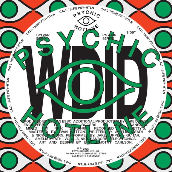 Sylvan Esso - Wdid B/W Keep on [VINYL LP]