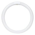 thumbnail image 1 of Sylvania FC12T9 32w 12in. T9 3000K Bright White 2100Lm Circline Fluorescent Bulb, 1 of 2