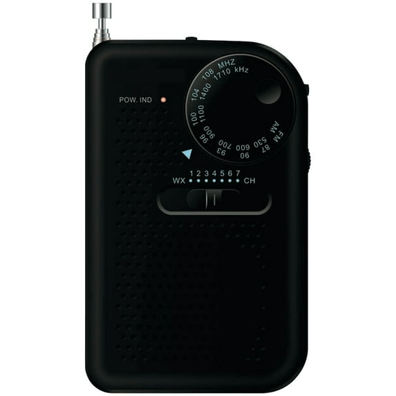 Sylvania Portable AM/FM Radio, Black, SRC100