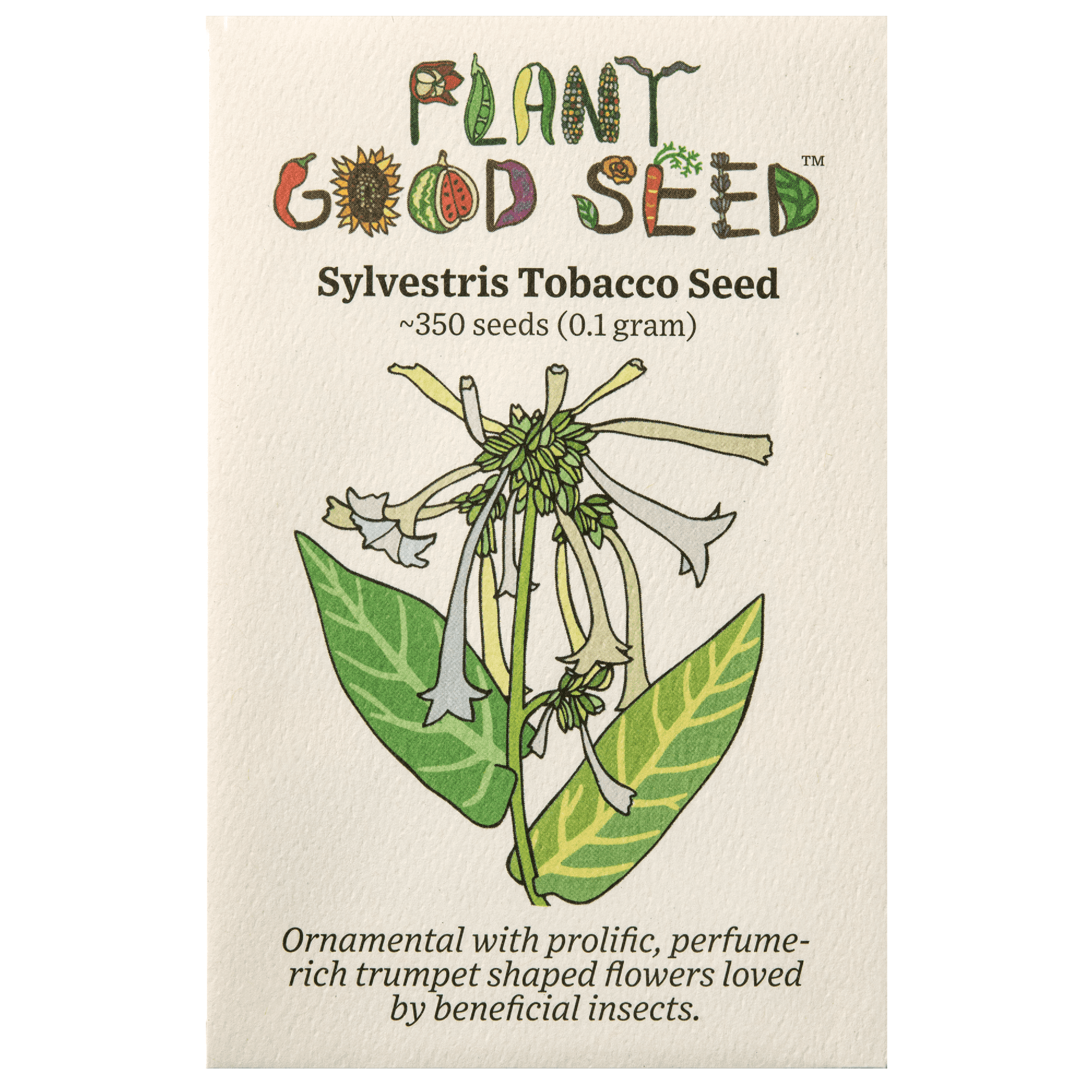 ornamental tobacco seeds Plant Good Seed Sylvestris Woodland Tobacco Seeds: White Perfume Flowers,  Night Blooming Perennial