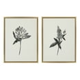 thumbnail image 1 of Sylvie Botanical 18 in x 24 in Framed Painting Canvas Art Prints, by Kate and Laurel Set of 2, 1 of 6