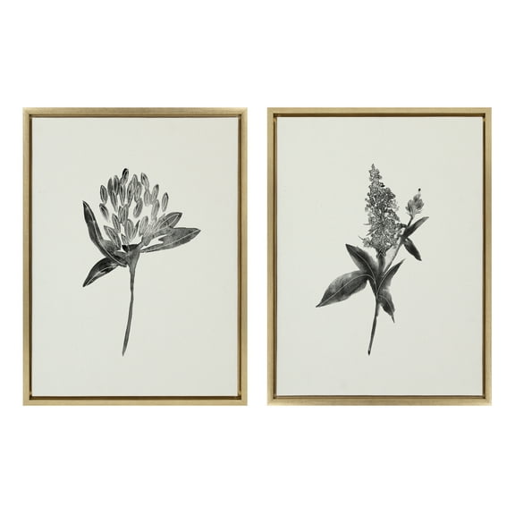 Sylvie Botanical 18 in x 24 in Framed Painting Canvas Art Prints, by Kate and Laurel Set of 2
