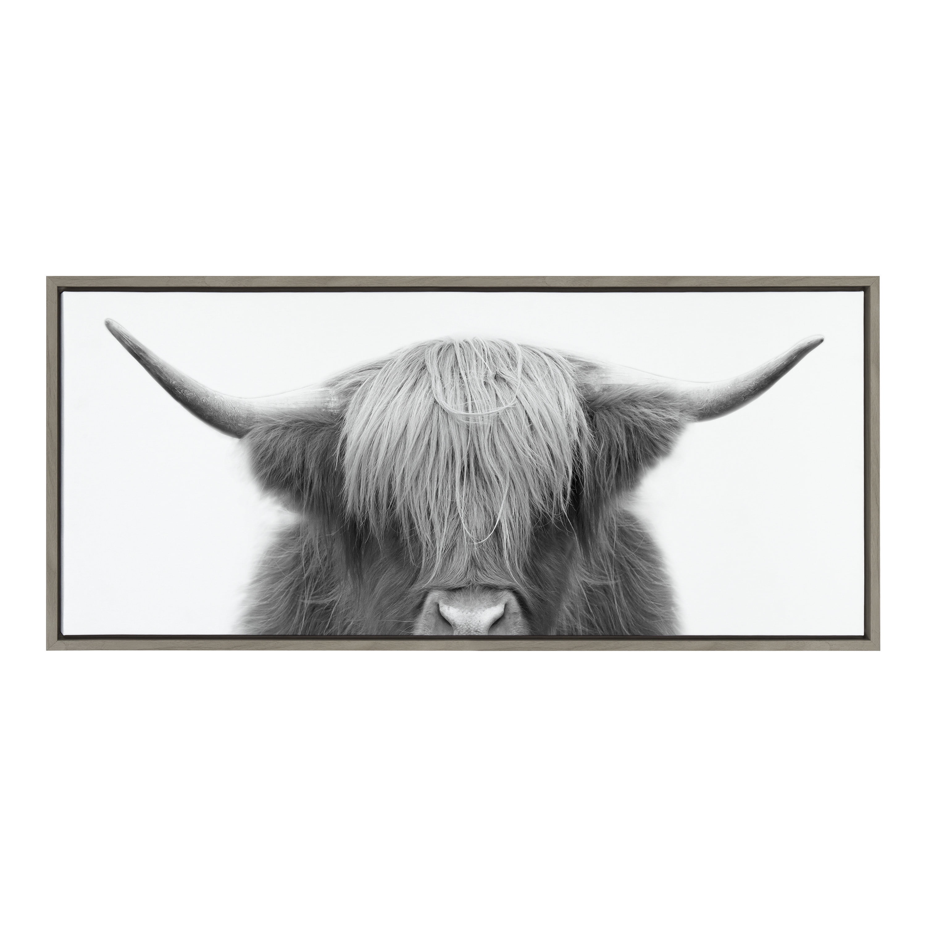 Hey Dude Highland Cow Black and White Framed Canvas Art
