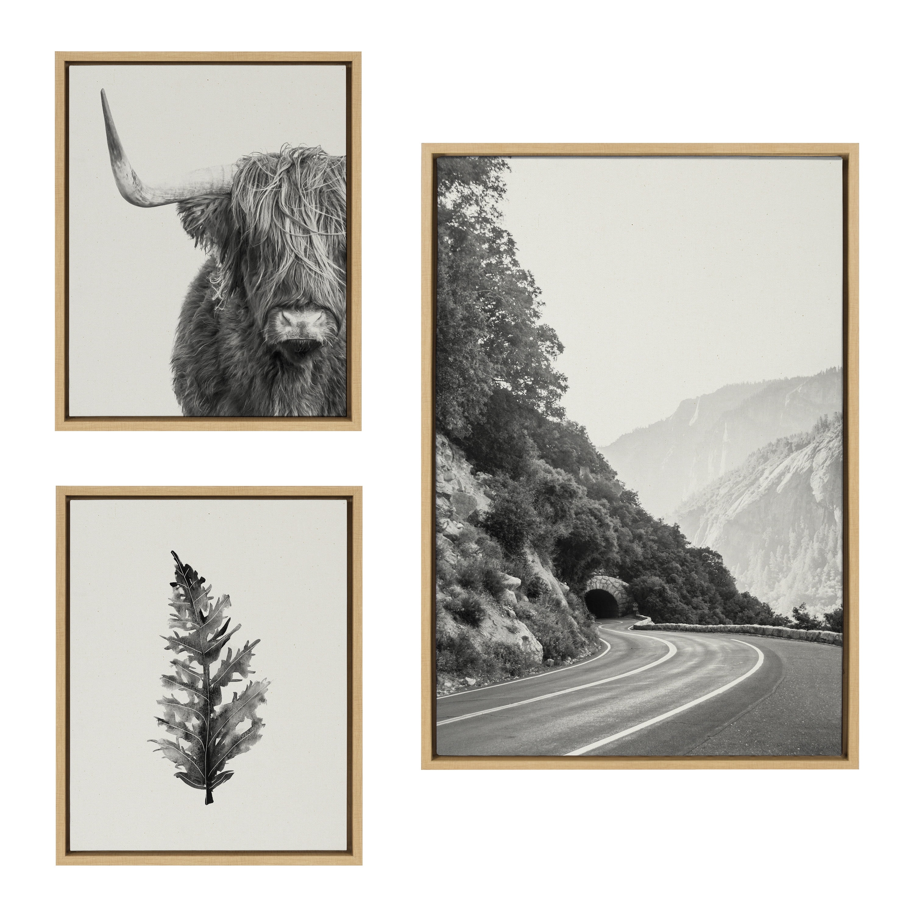 Highland Cow and Botanical Black and White Framed Canvas Art Set