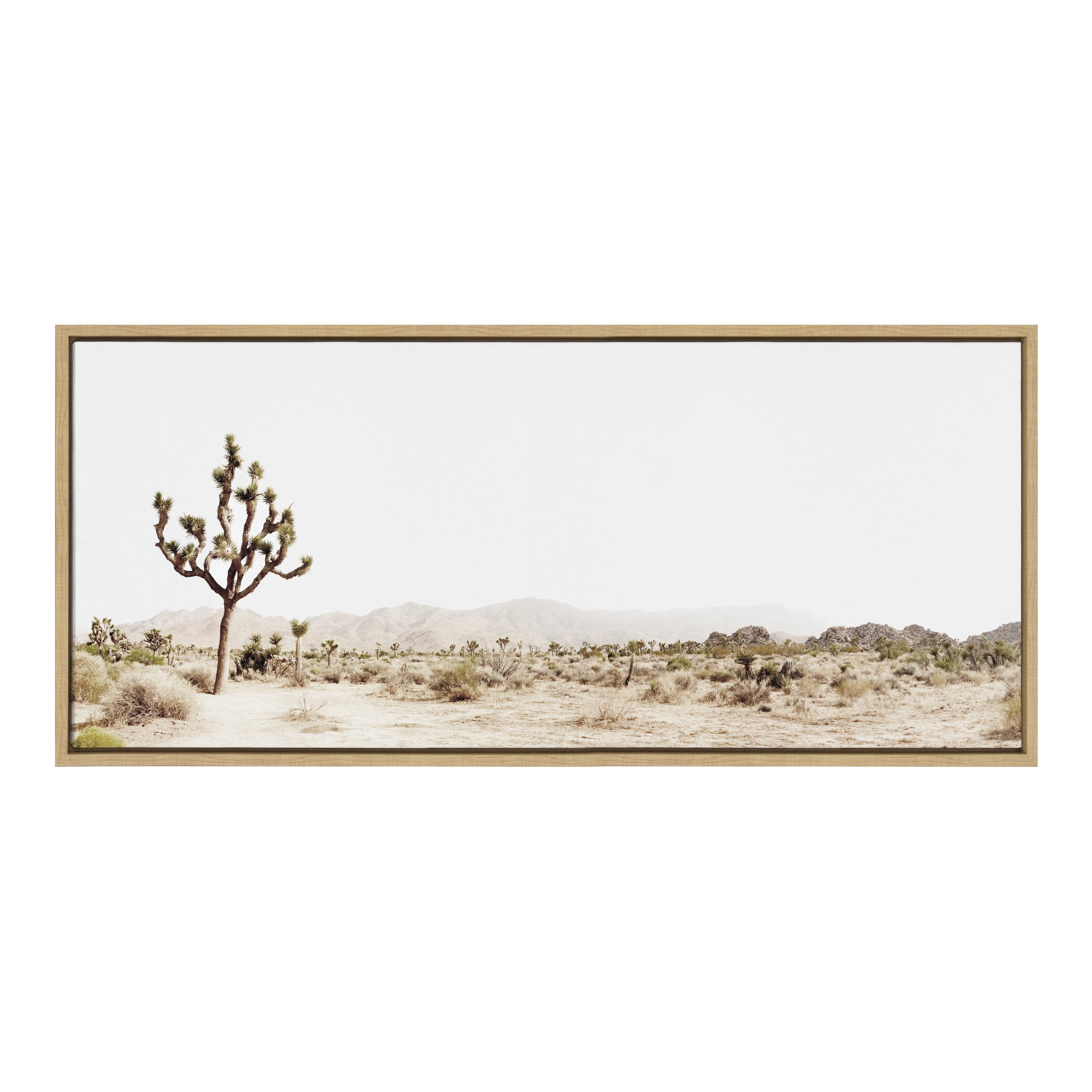 Lone Joshua Tree Desert Landscape Canvas Print
