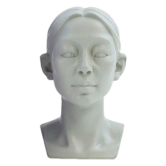 Sylvtty Planar Head Model for Drawing Resin Skull Sculpture with Detailed Muscle Structure Art Study Tool for Sketching Anatomy Learning