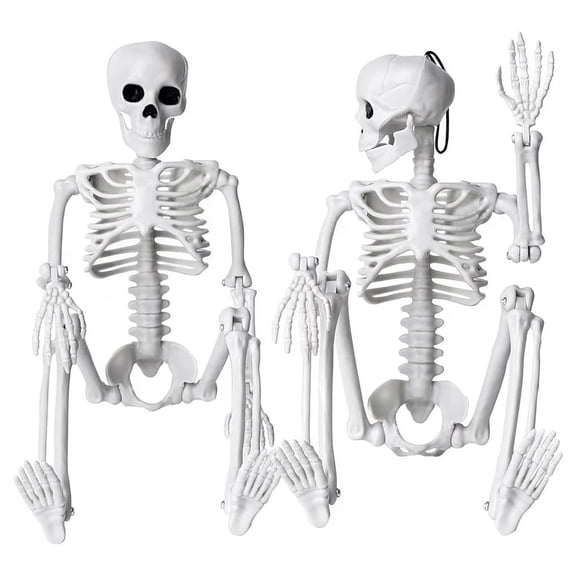 Symkmb 2Pcs Skeleton Halloween Decoration, 16 Inch Full Body Posable Halloween Hanging Skeleton for Indoor Outdoor Decoration plastic As Shown