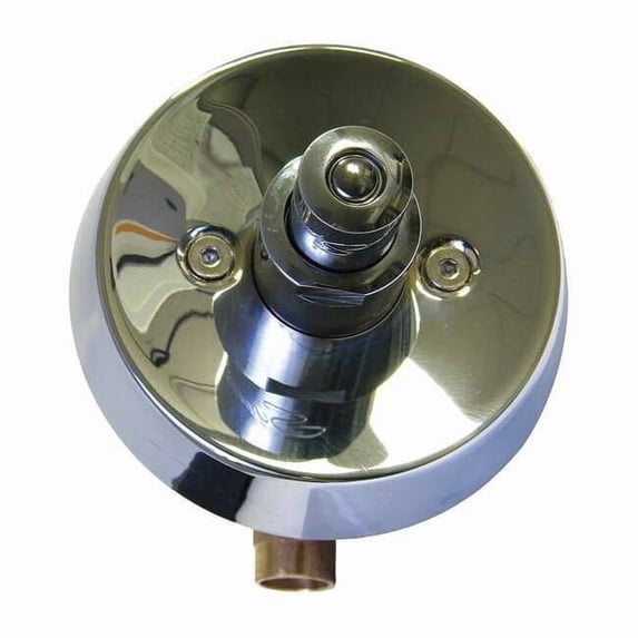 Wall, Shower Valve and Trim, Polished Chrome 4-420