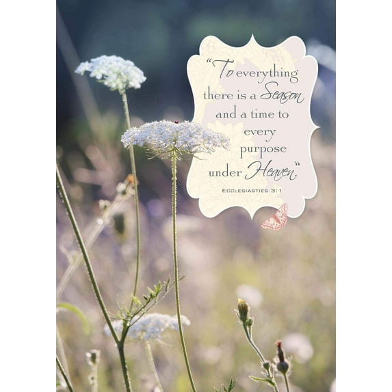 Sympathy Greeting Card (5x7) by Paper Street | 3 Pack + 3 Envelopes (A Time and Season)