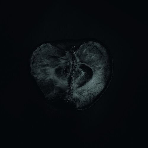 Sadon & Treha Sektori - Symphony Of Dying - Electronica - Vinyl