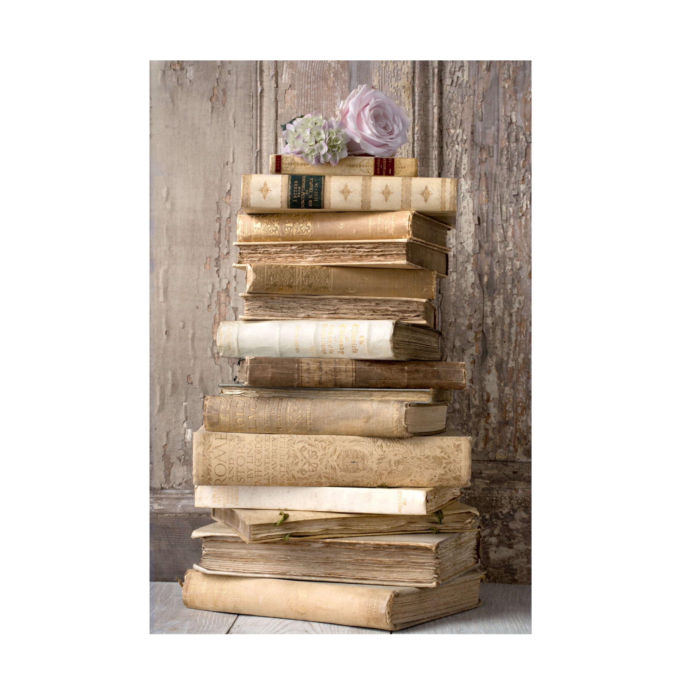 Symposium Design 'Books I' Canvas Art