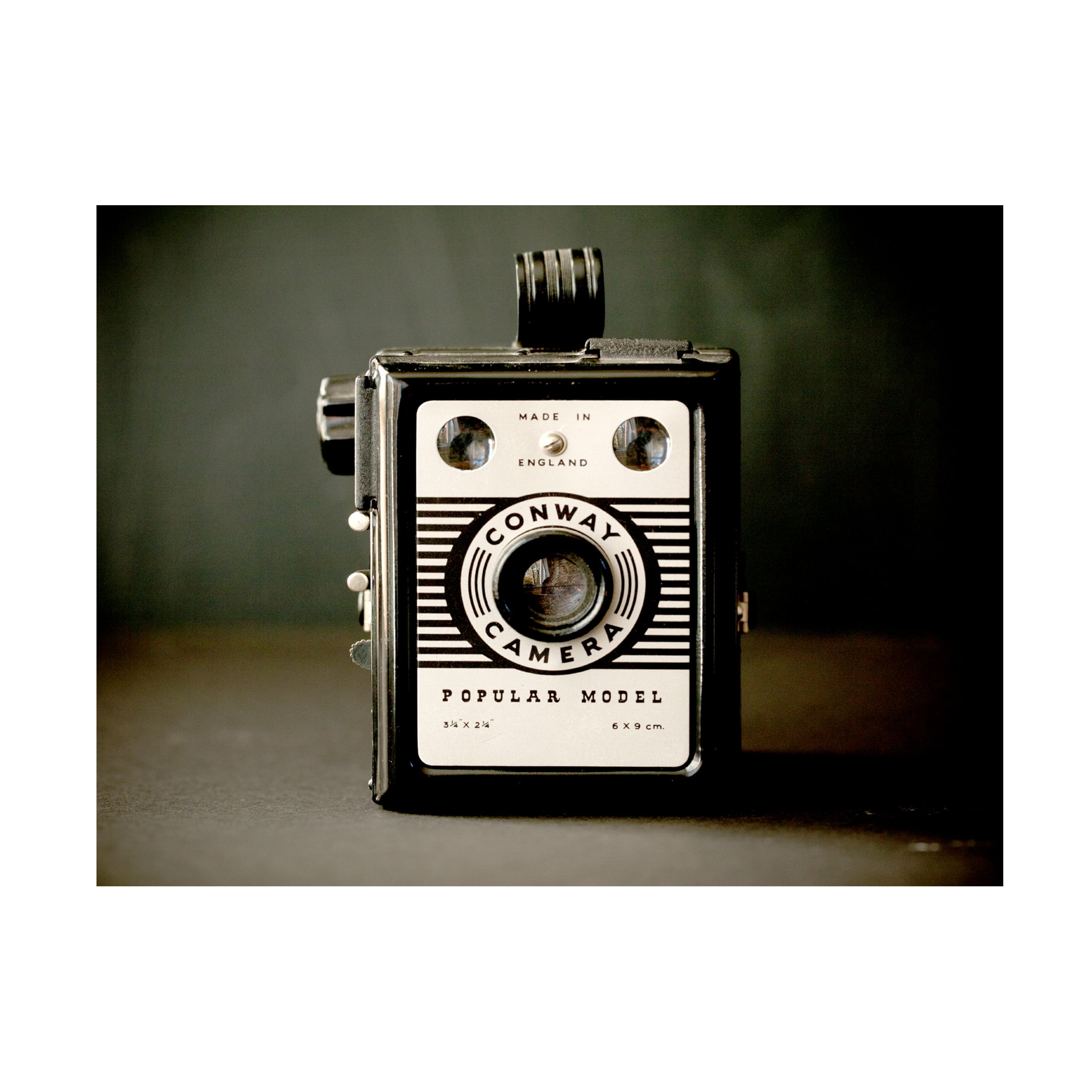 Symposium Design 'Box Camera' Canvas Art