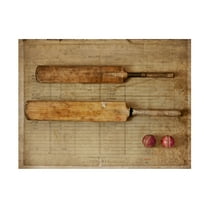 Symposium Design 'Cricket' Canvas Art