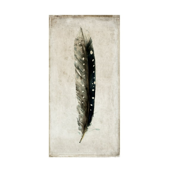 Symposium Design 'Feather 2' Canvas Art