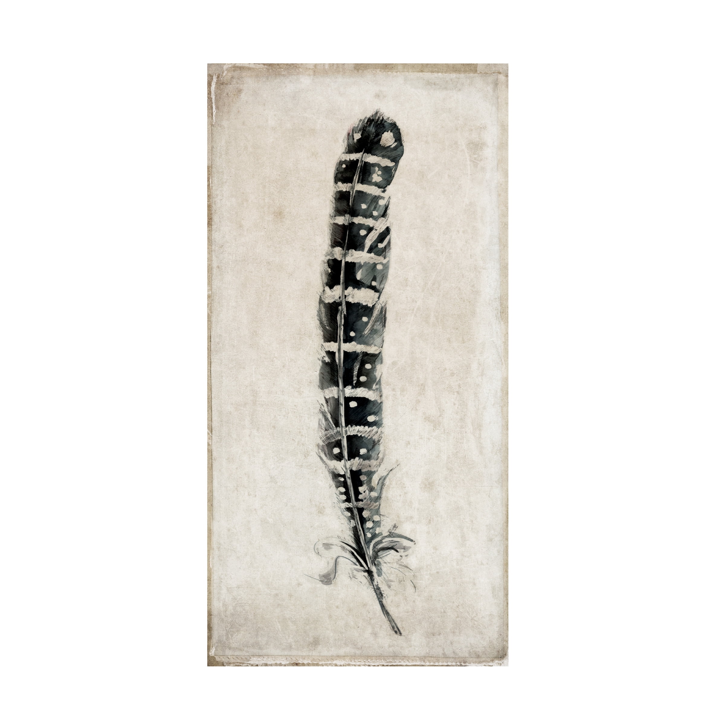 Symposium Design 'Feather 4' Canvas Art
