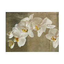 Symposium Design 'Tulip II' Canvas Art - Walmart.com