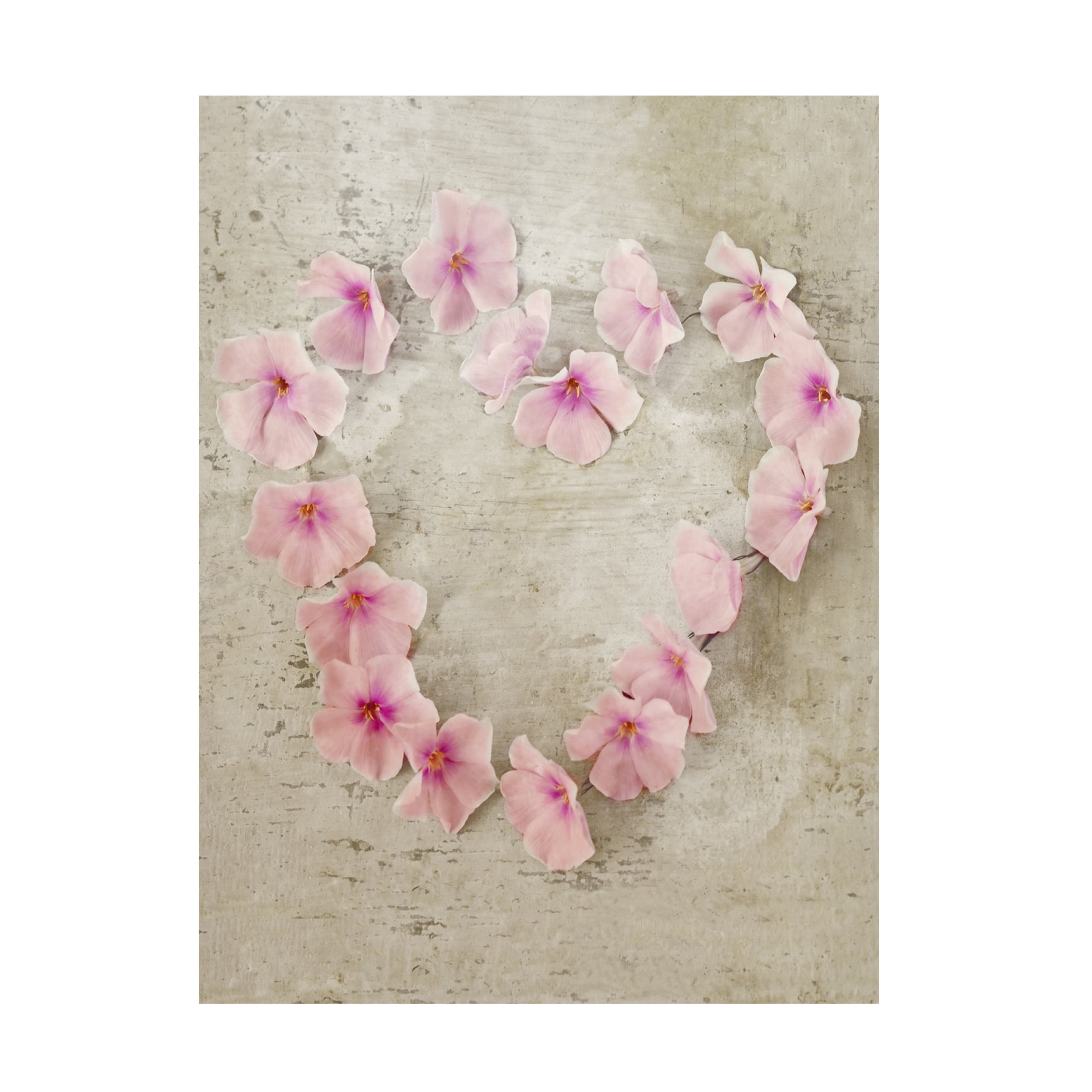 Roseheart Pink Floral Canvas Art with Wooden Frame