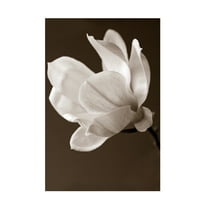 Symposium Design 'Sepia Magnolia' Canvas Art