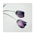 thumbnail image 1 of Symposium Design 'Tulip III' Canvas Art, 1 of 4