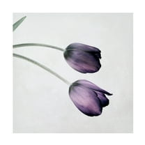 Symposium Design 'Tulip III' Canvas Art