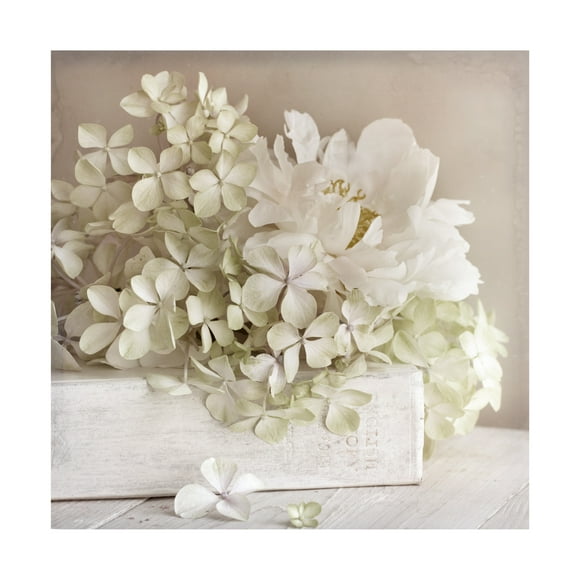 Symposium Design 'White Flower Book' Canvas Art