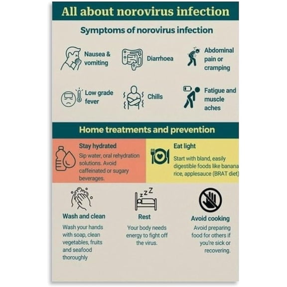 Symptoms of Norovirus Infection Poster Poster of The Clinic Canvas Wall Art Aesthetic Room Decor Cool Posters 24x36 Poster Print, Posters For Bedroom Living Room