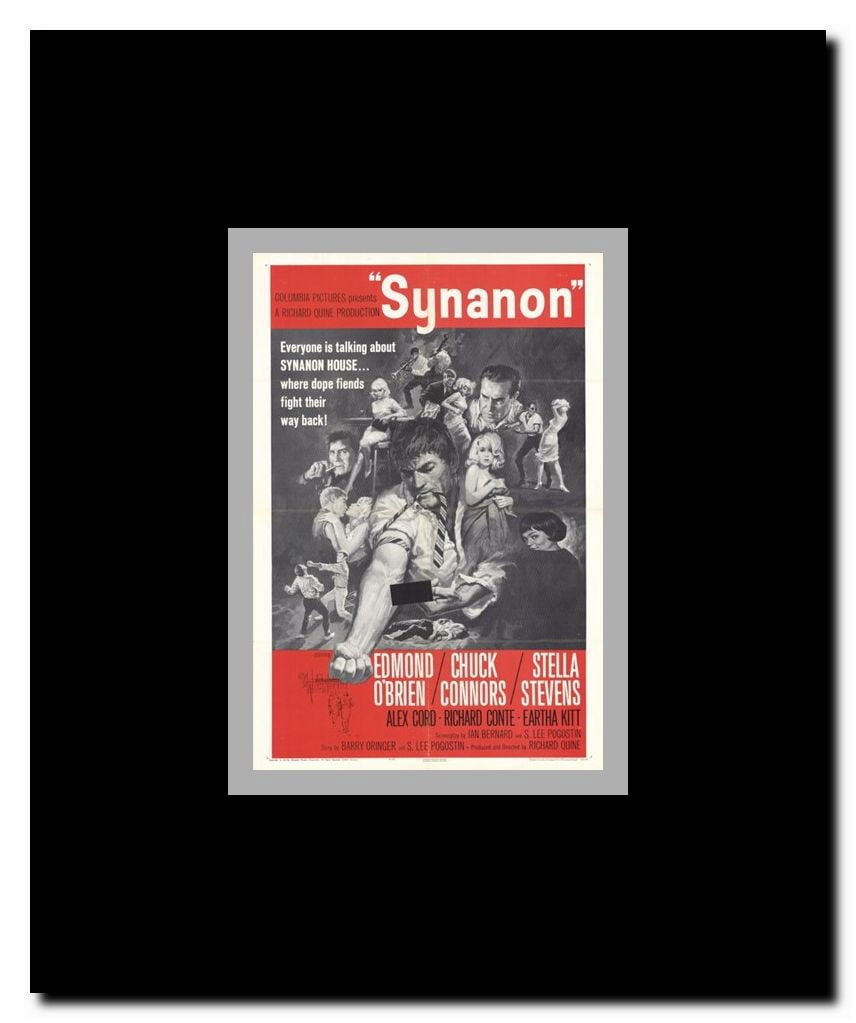 Synanon Framed Movie Poster