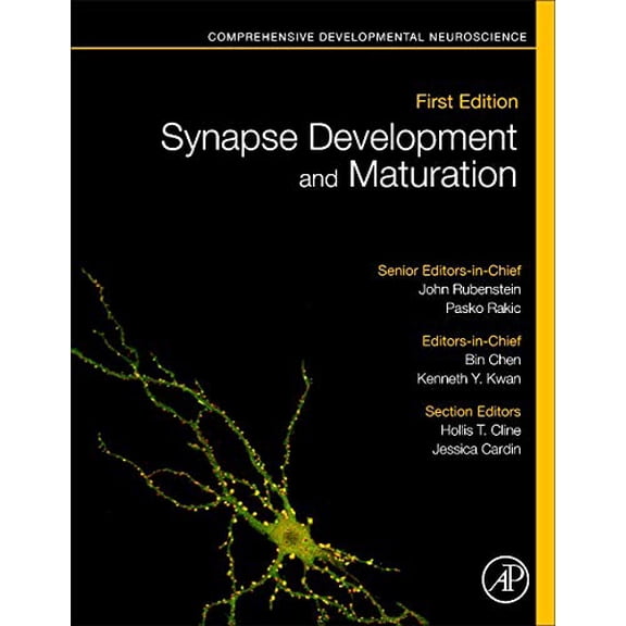 Pre-Owned Synapse Development and Maturation: Comprehensive Developmental Neuroscience [Hardcover] Rakic, Pasko; Rubenstein, John; Chen, Bin and Kwan, Kenneth Y.