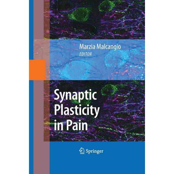 Synaptic Plasticity in Pain, (Paperback)
