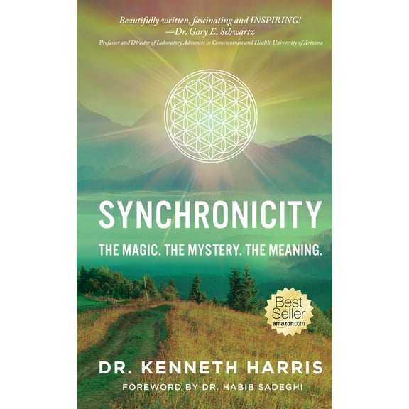 Synchronicity: The Magic. The Mystery. The Meaning. (Paperback)