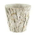 thumbnail image 1 of Round Pot Planter Size: 4.63" H x 4.75" W x 4.75" D, 1 of 6