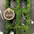 thumbnail image 1 of Syndicate Moss Trellis 18", 1 of 9