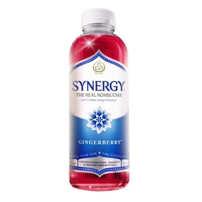 Synergy Gingerberry Kombucha 16 fl oz