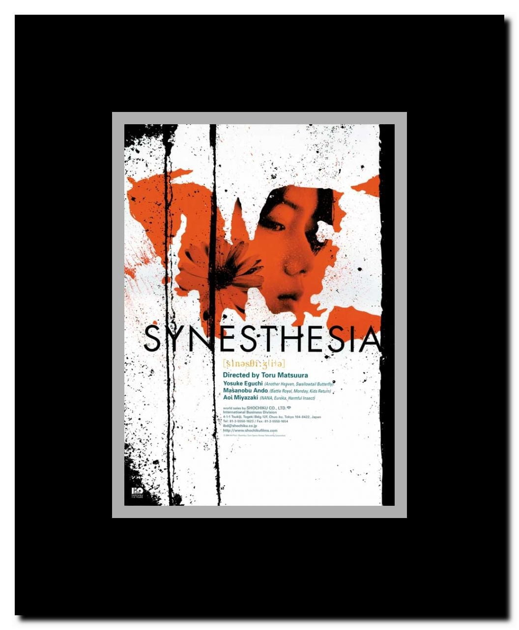 Synesthesia Framed Movie Poster