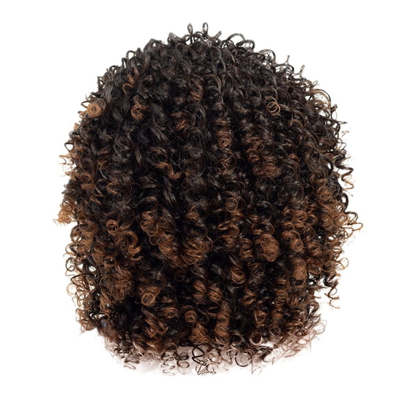 Synthetic Afro Curly Wig - Gray Mix with Bangs, 16 Inch, Soft Heat Resistant Fiber, Adjustable Cap, Stylish Afro Curl, Lightweight, Everyday Wear, Holiday Gift, Makeup Organizers