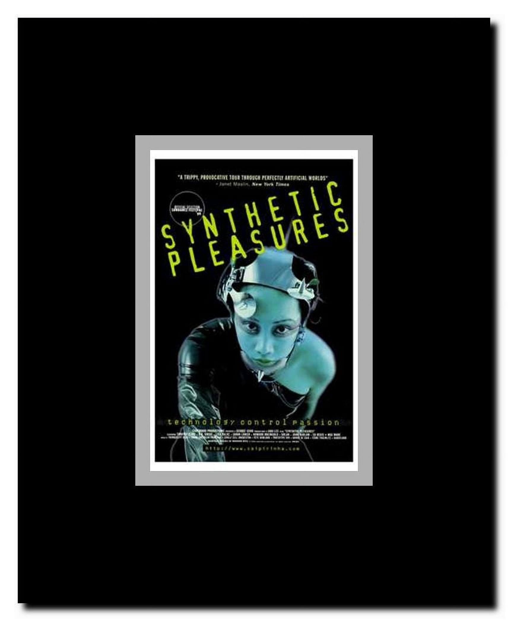 Synthetic Pleasures Framed Movie Poster