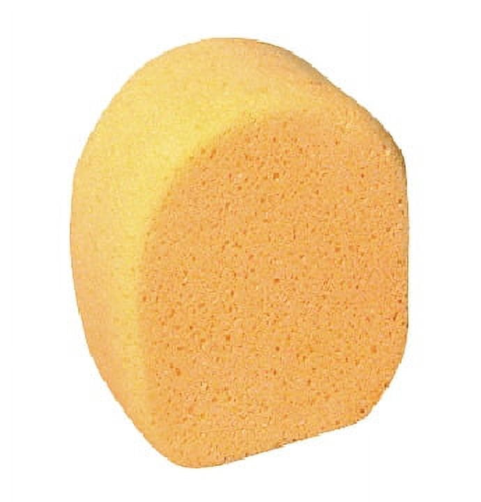 Sponge Synthetic Oval - The Ceramic Shop