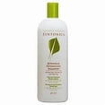 thumbnail image 1 of Syntonics Botanical Detangling Shampoo 32 oz Retail, 1 of 1