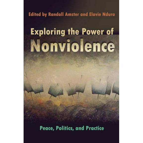Syracuse Studies on Peace and Conflict R Exploring the Power of Nonviolence: Peace, Politics, and Practice, (Paperback)
