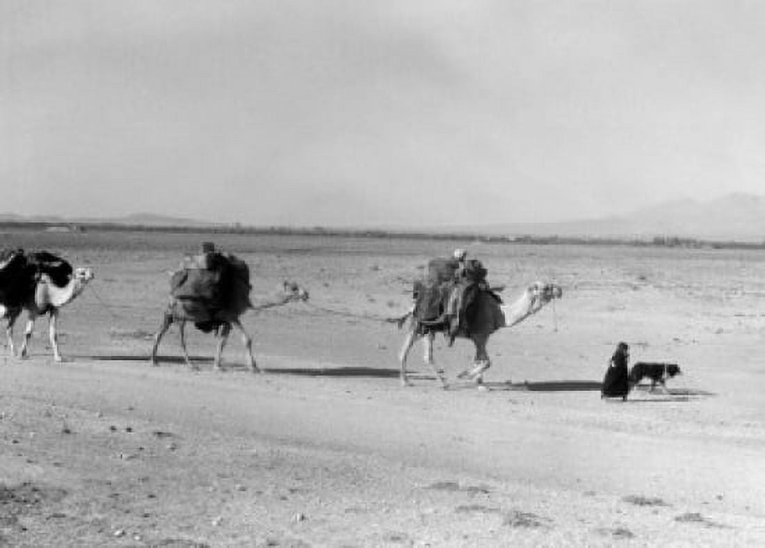 Syria caravana on desert Canvas Art - (24 x 36)