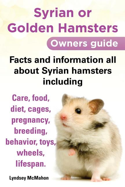 Syrian or Golden Hamster Care : Syrian or Golden Hamster Life Span