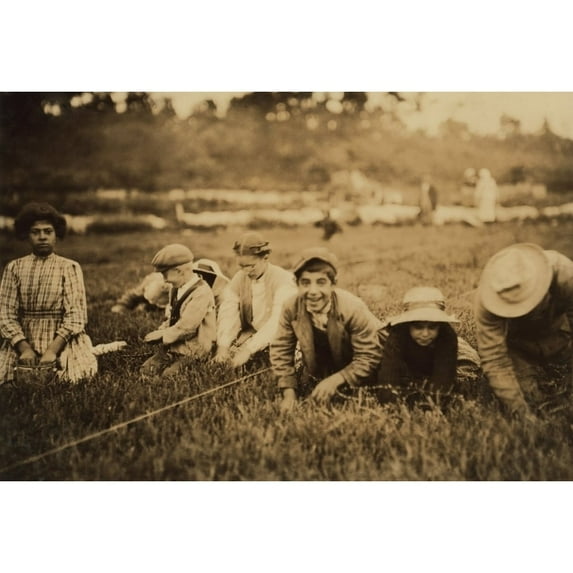 Syrian-Lebanese American Children Working As Cranberry Pickers In East Wareham History (36 x 24)