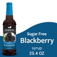 thumbnail image 1 of Syruvia Blackberry Sugar Free Coffee Syrup No-Calorie Coffee Sauce for Coffee, Lattes, Shakes, Smoothies, Desserts, 25.4 Fl. Oz, 1 of 7